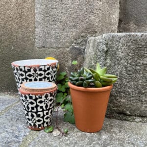 bougie-magnolia-rennes